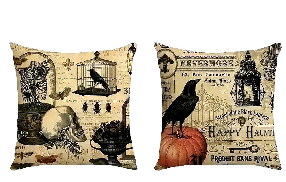 2 Dark Academia Pillow Covers Only 18x18 Raven Gothic Nature Halloween Victorian